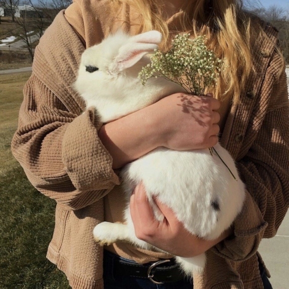 Meet your Posher, Robin - Picture 1 of 1